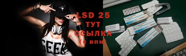 ГАЛЛЮЦИНОГЕННЫЕ ГРИБЫ Алзамай