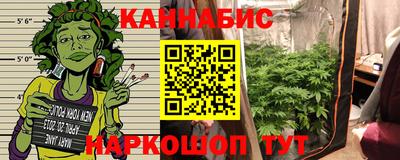 СК Пугачёв
