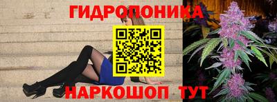СК Пугачёв