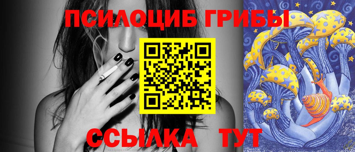 Псилоцибиновые грибы Psilocybine cubensis Усть-Илимск