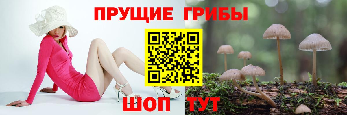 Псилоцибиновые грибы Cubensis  купить  сайты  Усть-Илимск  Вход с VPN 